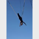 Cirque Bijou - Harbour Festival - 2015 - Cloud Swing - Freya Watson