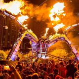 Harness - Arcadia - Landing - Miami - 2017 - Freya Watson
