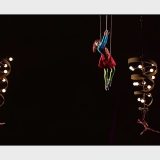 Harness - 4th Islamic Solidarity Games - Azerbaijan - 2017 - Freya Watson