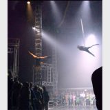 Counterweighting - NoFit State Circus - Bianco - Freya Watson - Augusts Dakteris